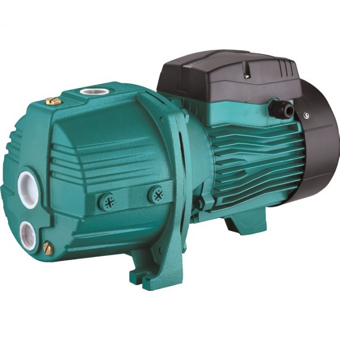 Насос LEO AJDM110/4H с внешним эжектором L2710 Насос LEO AJDM110/4H с внешним эжектором L2710